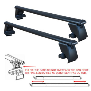 Farad Iron 3 BS Long...